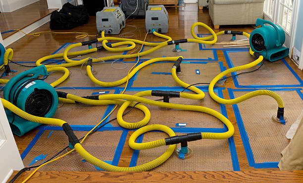 Professional Water Damage Repair technician working in Eva, AL