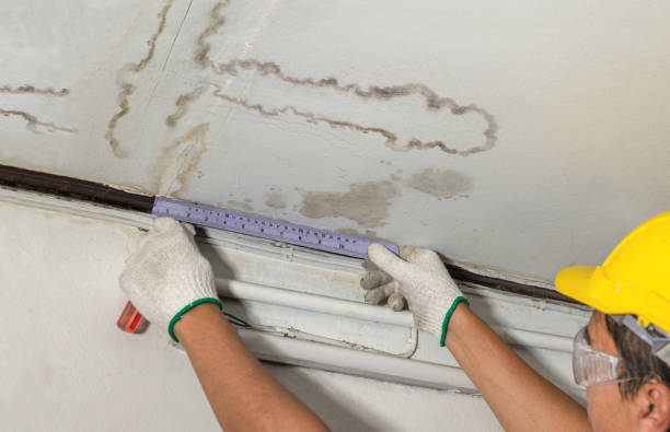 Affordable Water Damage Repair solutions in Eva, AL